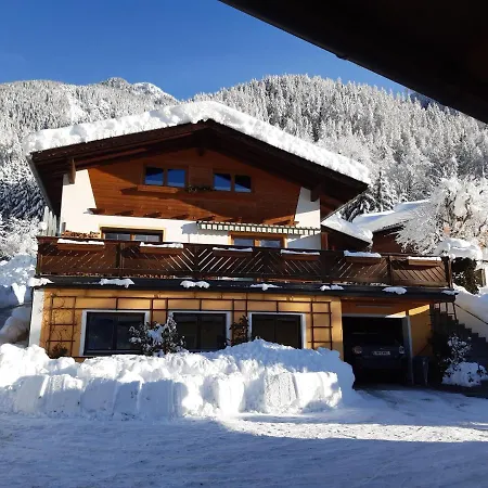 Haus Domenig *