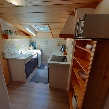 Haus Domenig