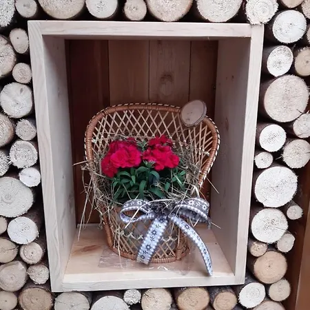 Apartment Haus Domenig *